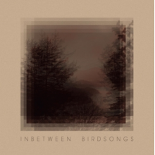 Gusset, Matthias - Inbetween Birdsongs