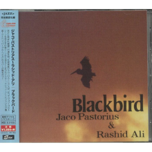 Pastorius, Jaco & Ali Rashied - Black Bird