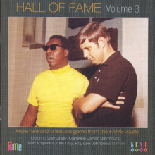 V/A - Hall of Fame Volume 3