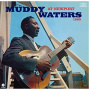 Waters, Muddy - At Newport 1960/ Muddy Waters Sings Big Bill