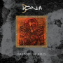 Iona - Book of Kells