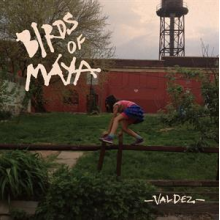 Birds of Maya - Valdez