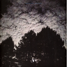 Carlton Melton - Night Pillers (White)