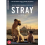Documentary - Stray
