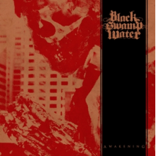 Black Swamp Water - Awakening