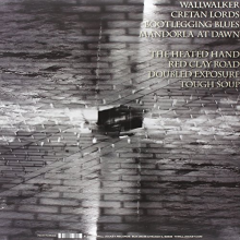 Speer, D. Charles & the Helix - Doubled Exposure