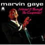 Gaye, Marvin - I Heard It Through the Grapevine