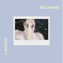 Lantlos - Wildhund