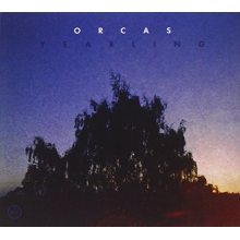 Orcas - Yearling