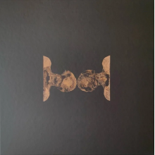 Sleater-Kinney - Path of Wellness