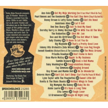 V/A - Rock and Roll Vixens Vol.6