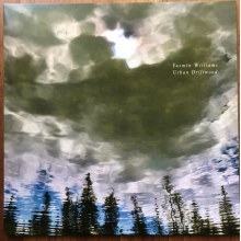 Williams, Yasmin - Urban Driftwood