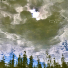 Williams, Yasmin - Urban Driftwood