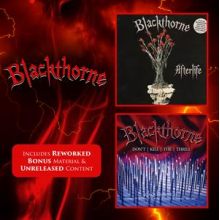 Blackthorne - Afterlife / Don't Kill the Thrill