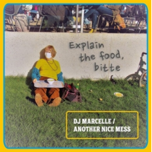 DJ Marcelle - Explain the Food, Bitte
