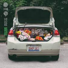 Sincere Engineer - Bless My Psyche