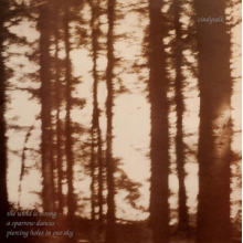 Cindytalk - The Wind is Strong...