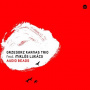 Grzegorz Karnas Trio Feat. Miklos Lukacs - Audio Beads