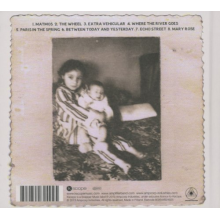 Amplifier - Echo Street