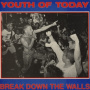 Youth of Today - Break Down the Walls