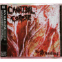 Cannibal Corpse - Bleeding