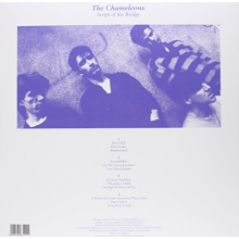 Chameleons - Script of the Bridge