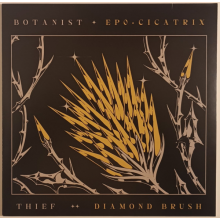 Botanist - Cicatrix / Diamond Brush