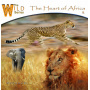 Wychazel - Heart of Africa