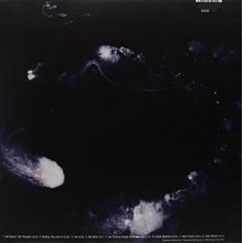 Swans - My Father Will Guide Me Up a Rope