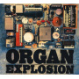 Organ Explosion - Organ Explosion