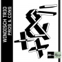 Windisch Trio - Pros and Cons | Jazzthing Next Generation Vol. 89