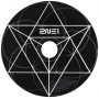 Twoneone (2ne1) - New Album (Crush)