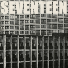 Fender, Sam - Seventeen Going Under