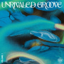 Various - Unrivaled Groove Vol.I