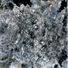 Horte - Maa Antaa Yon Vaientaa