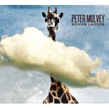 Mulvey, Peter - Silver Ladder