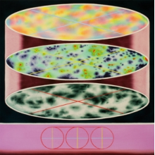 Cv Vision - Insolita