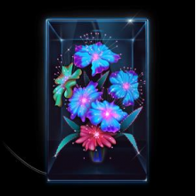 Rubinos, Xenia - Una Rosa