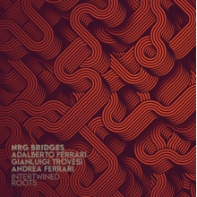 Nrg Bridges - Interwined Roots