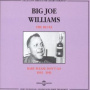 Williams, Big Joe - Blues: Baby Please Don't Go 1935-1951