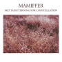 Mamiffer - Mettapatterning For Constellation