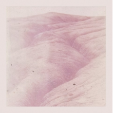 Theodore Wild Ride - Theodore Wild Ride