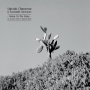 Chauveau, Sylvain -& Ensemble Nocturne- - Down To the Bone: an Acoustic Tribute To Depeche