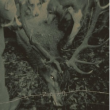 Zero - Hungry Dogs (In the Backyard)