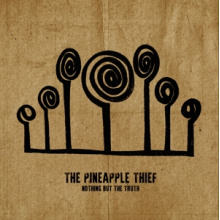 Pineapple Thief - Nothing But the Truth