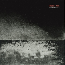 Insect Ark - Future Fossils