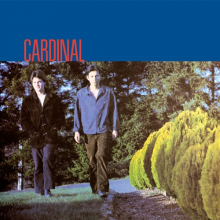 Cardinal - Cardinal