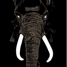 Palm Unit - Don't Buy Ivory Anymore! - the Music of Henri Texier