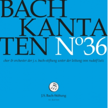 Choir & Orchestra of the J.S. Bach Foundation - Bach Kantaten No.36