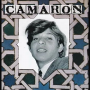 Camaron - Venta De Vargas